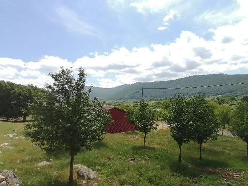 Farma & Apartmani Opg Sasa Delic コレニツァ エクステリア 写真